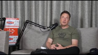 Elon Musk: Biggest Threat To Mankind Is Population Collapse