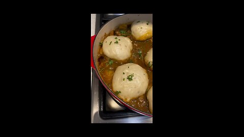 Dumpling and Chicken stew Inspo