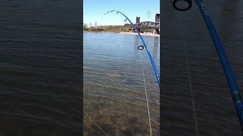 Fishing the Tennessee River