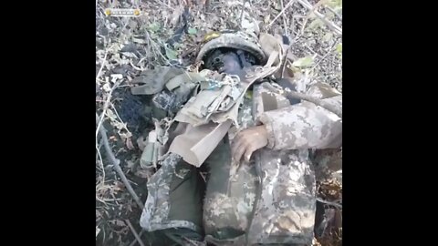 ‼️🔞 Corpses of Ukrainian terrorists in broken shelters near Artyomovsk #донбасс #russiaukrainewar