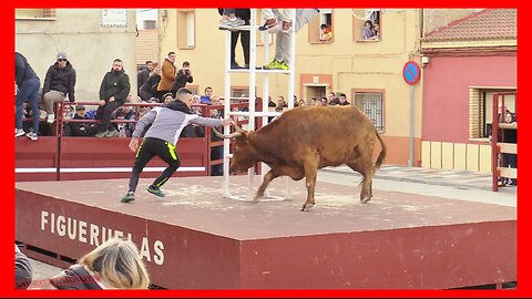 FIGUERUELAS ( ZARAGOZA ) TARDE VACAS EN CALLE ( MIERCOLES 6-12-2023 ) GANAD.ARRIAZU