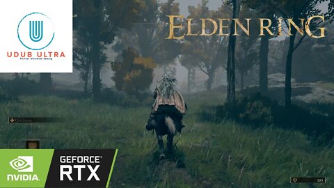 Elden Ring PC | Max Settings 4k Gameplay | RTX 3090 | Single Player Gameplay | FPS Unlock