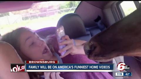 Brownsburg family will be on America's Funniest Home Videos on Sunday