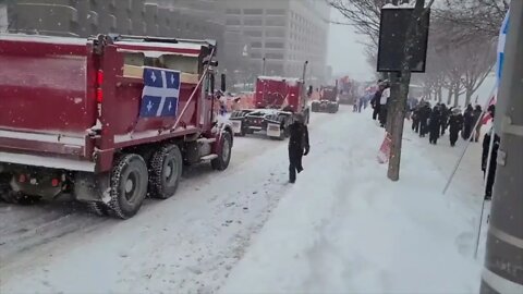 🇨🇦QUEBEC HONKS FOR FREEDOM *THE WHOLE WORLD IS WATCHING** 🇨🇦