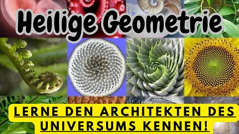 Heilige Geometrie, Fraktale, die Blume des Lebens und Starseeds.