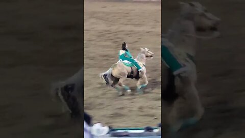 #RenoRodeo Stunt Woman Part 1