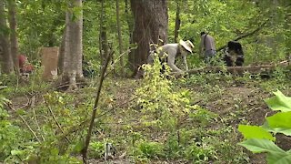 Volunteer group restores Lower Shaker Lake park's natural habitat