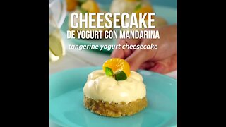 Tangerine Yogurt Cheesecake