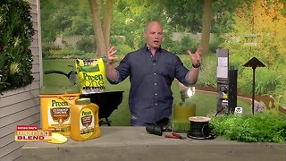 Backyard Preps | Morning Blend