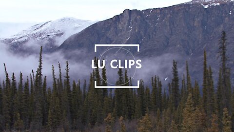 LU Clips - Carol Turner disappearance theories