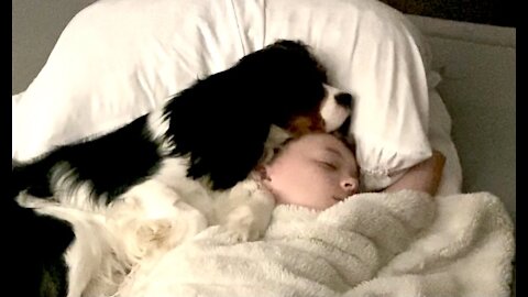 Puppy Preciously Falls Asleep On Little Girl's Head