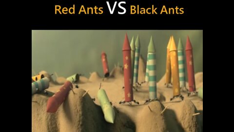 Red ants Vs black ants