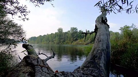 Relaxing River Sounds - Peaceful Forest River