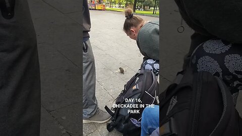 10/16/23 Day 16, Monday, Homeless hang out, fountain Boston Commons #homeless