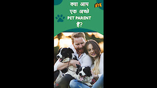 अपने pet की उचित देखभाल कैसे करे ?