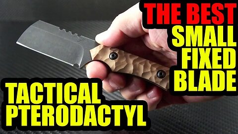 Tactical Pterodactyl: The BEST Small Fixed Blade Knives