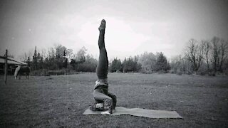 Yoga with horses