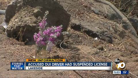 Suspected DUI driver had license suspended