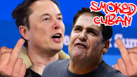 Elon Musks Destroys Race Baiter Mark Cuban Over Hiring By Race