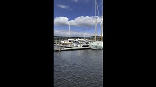 Gorgeous Belfast, Maine Harbor