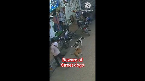 Beware of Street dogs