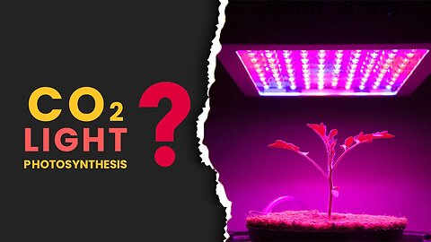 CO2, Light, & Photosynthesis