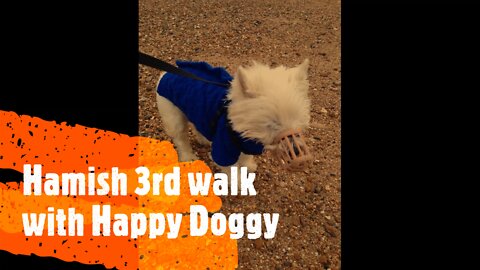 Hamish 3rd Walk with Happy Doggy