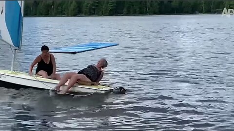 Sun's Out, FAILS Out!! ☀️ Best SUMMER FAILS 🤣 Funny Videos | 2023