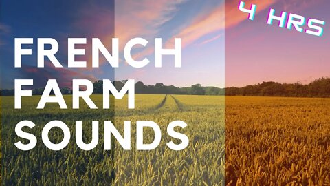 REAL French Farm Sounds Cows Insects Relax and Calm Audio For meditate or Sleep