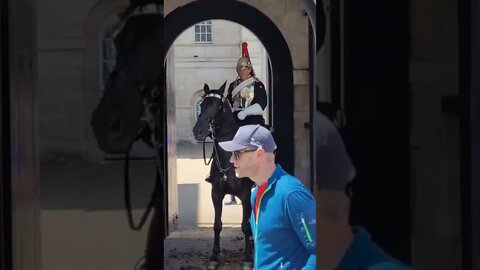 extinction rebellion scares the queen's guards horse #protest