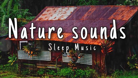 Feel Nature inside your room, Fall a sleep with Sound of rain and thunder|| Nature Sounds