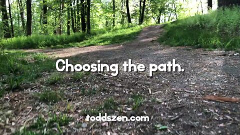 Choosing the path