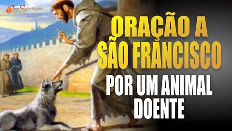 Oração a São Francisco de Assis por um animal doente