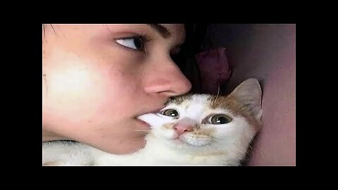 FUNNY CAT MEMES COMPILATION OF 2022