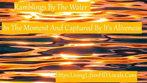 Rambling by the water: In The Moment and Captured By It's Aliveness