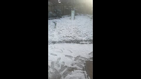 When there’s snow in the garden