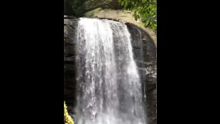 Waterfalls, Streams and Trails at Catawba Falls and Pisgah National Forest