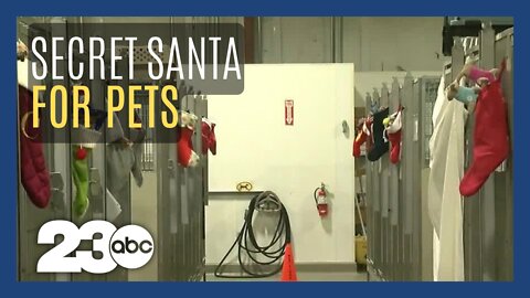 Kern County Animal Services asks for holiday donation through Secret Santa program