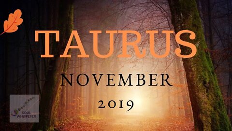 TAURUS: This is a Time of Evaluation * November