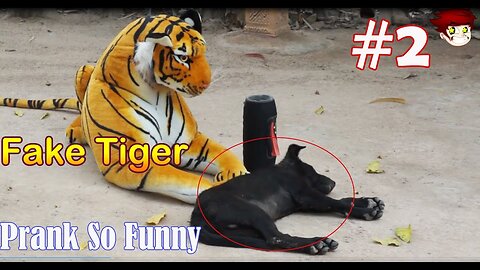 Troll Prank Dog Funny & fake Lion and Fake Tiger Prank To dog & Huge Box Prank to dog