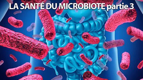 SOIGNEZ-VOUS avec CAROLINE MAILLOUX - LA SANTÉ DU MICROBIOTE partie 3