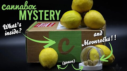 Cannabox MYSTERY (what's inside?). . .and MOONROCKS!!