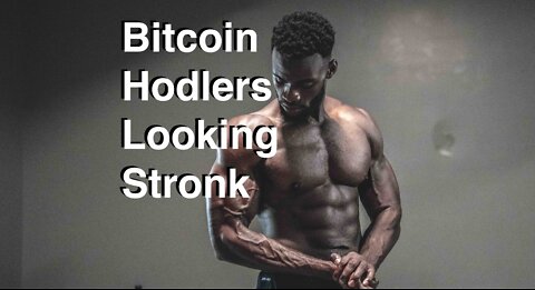 Strong Bitcoin Hodlers | Ex-Twitter CEO Thoughts On Bitcoin | Illinois and Georgia Want Miners