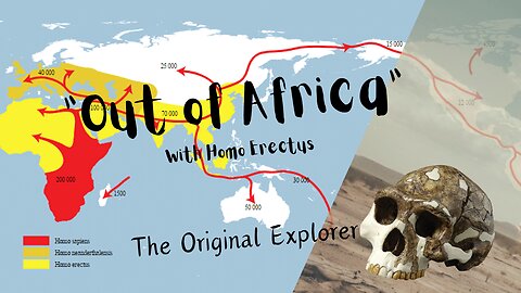 Homo Erectus: Trailblazers of Human Evolution