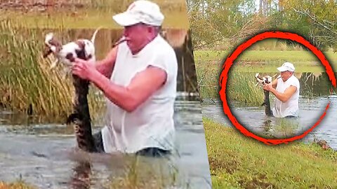 Man jumps into water, saves dog from alligator l GMA