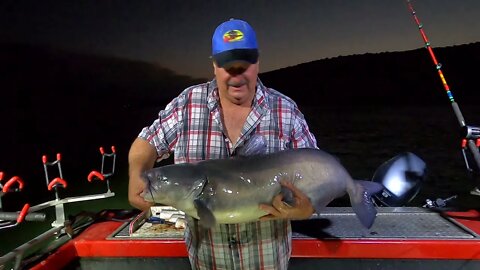 Tips on catching big catfish