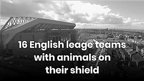 11 Spanish league team | animals