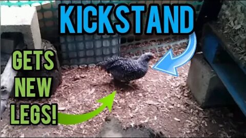 Kickstand Gets New Legs! - Ann's Tiny Life and Homestead