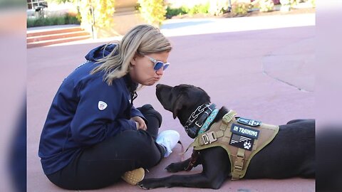 JAVELAN 'transforming lives' with free service dog training for veterans