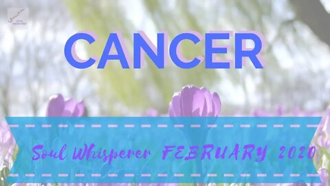 ♋ CANCER: Positive Positive Positive * Feb 2020